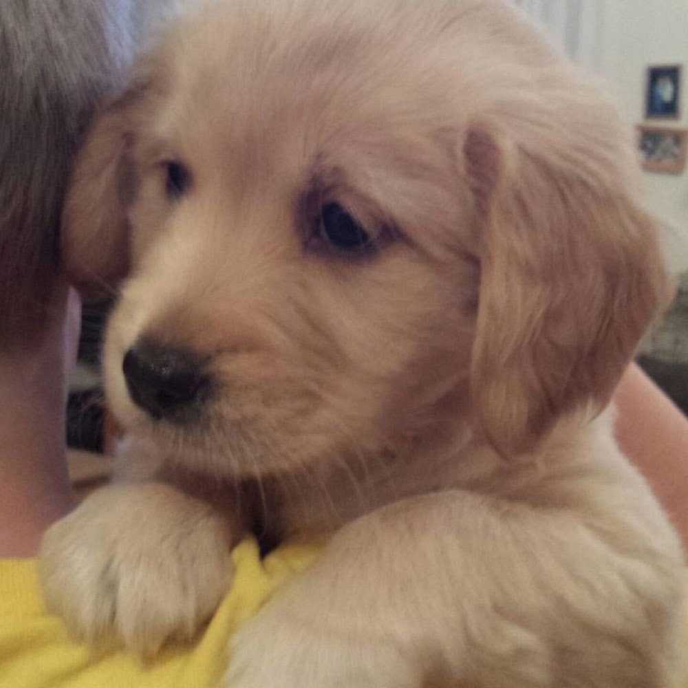 Meet your Posher, Sal